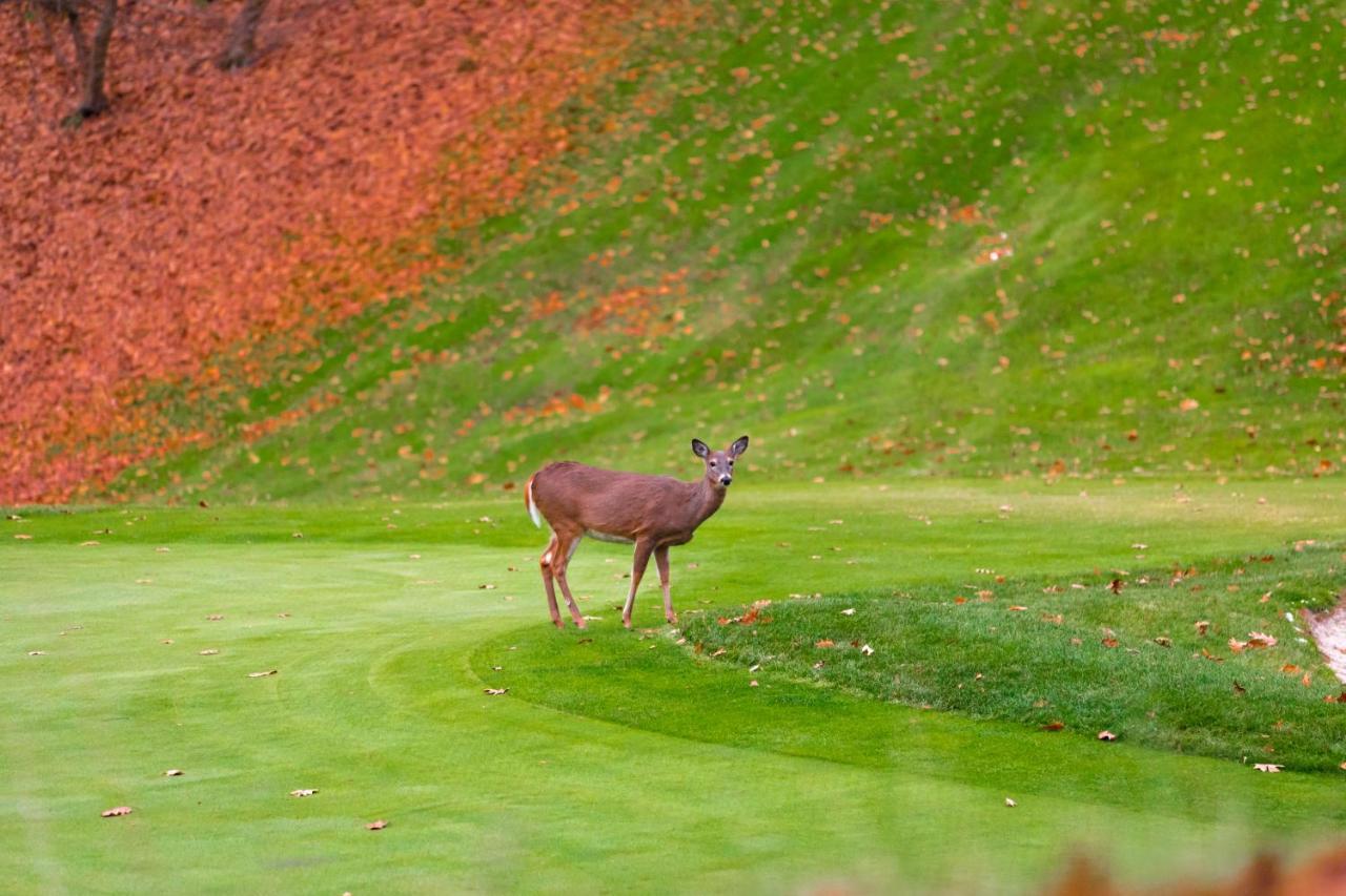 Crown Resorts At Wolf Run DuBois Ngoại thất bức ảnh